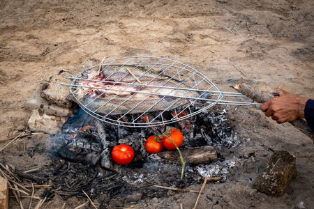 Cultural Gastronomy: Traditional Mesopotamian Masgouf River Carp Grilled Over an Open Wood Fire on the Riverbankの写真素材
