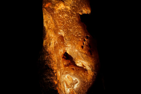 Macro Focus Stacking of Fossilized Amber Resin with Trapped Debrisの写真素材