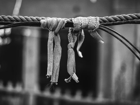 Black and white photo of a rope tied together with a knot.の写真素材
