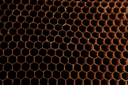 Close-up macro of brown honeycomb texture with hexagonal cells in warm light, abstract natural...