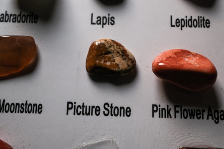 Three polished stones labeled on a display: lapis (center), pink flower agate (right), picture stone...