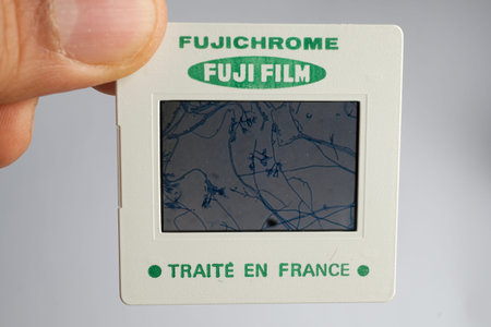 Basra, Iraq - January 21, 2026: Microscopic View Of Blue Stained Fungi Mycelium On Vintage Film...