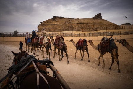 Line of camels and riders crossing desert road near rocky plateau under cloudy sky, seen from...