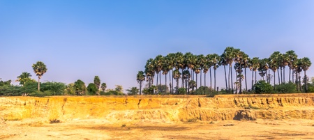 landscape trees sceneryの素材