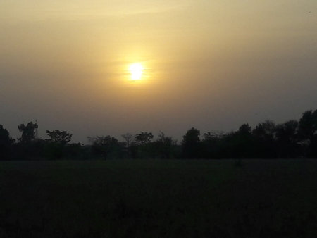 Sunset in the rice field. The sun sets over the horizon.の写真素材