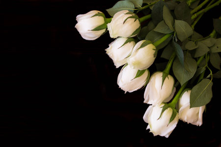 WHITE ROSESの写真素材