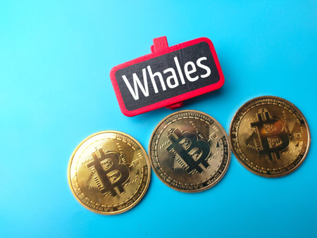 Top view colored board with text Crypto Base and silver ethereum and golden bitcoin digital crypto...