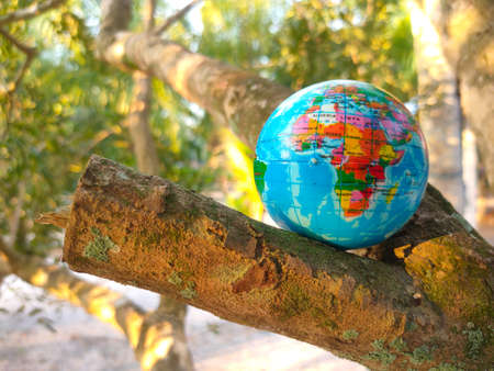 Colored wooden cube with word VERBAL on a blue background.の写真素材