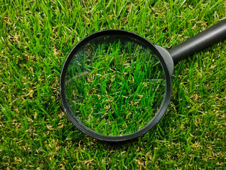 Magnifying glass on grass background.Business concept. Magnifying glass and fresh green grass with copy space.の写真素材