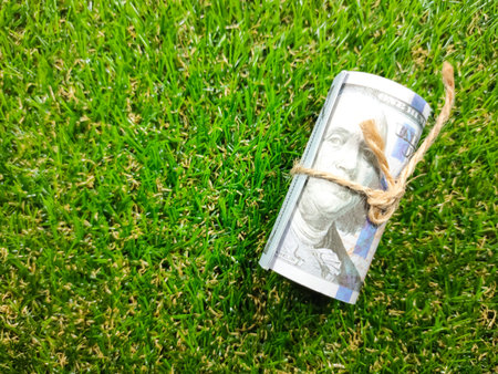 Banknote on grass background. Money concept. Dollar banknote with fresh green grass and copy space.
