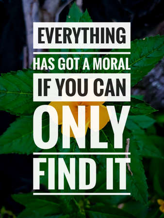 Inspirational and motivational quotes with yellow flower and nature background.の写真素材