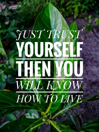 Inspirational and motivational quotes with green leaves and nature background.