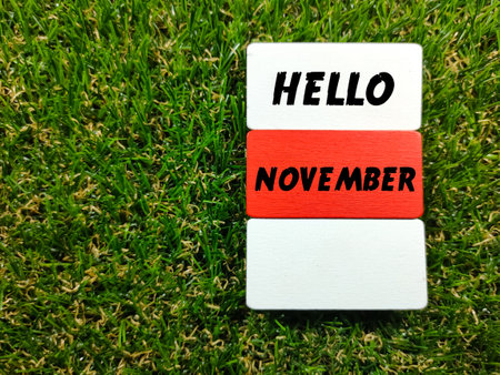 Colorful wooden board with text HELLO NOVEMBER on grass background.の写真素材