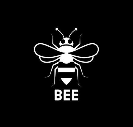 Business concept.Text Value for Money writing on colored ice cream sticks on dollar money background.の写真素材