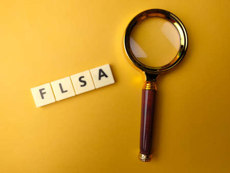 Vintage magnifying glass and toys word with the word FLSA on yellow background.の写真素材