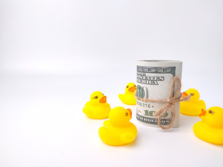 A group of toy ducks surround the banknote. Teamwork and business conceptsの写真素材