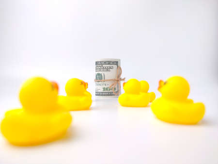 Group of toy ducks follow the banknotes. Leadder and business conceptの写真素材