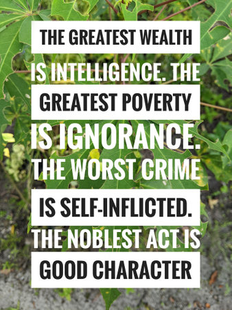 Islamic and motivation quotes with green leaf and nature background.の写真素材