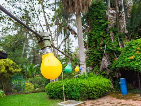 Yellow light bulb hanging in the yard in a resort area.の写真素材