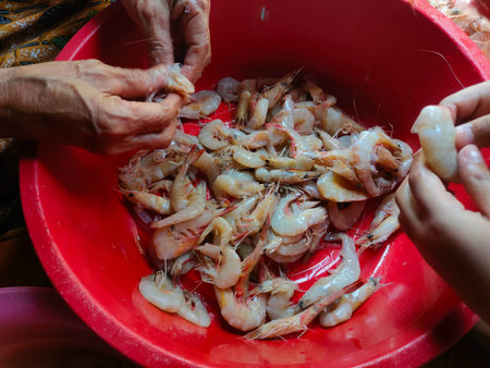The shrimp in the red container are being peeled to be cookedの写真素材
