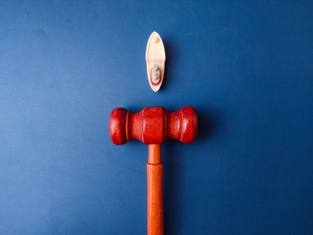 The image shows a gavel and a toy boat, which can be interpreted as a representation of maritime law or admiralty law.の写真素材
