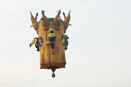 Gary Moore (USA) with Woodrow C. Greenleaf balloon flies at the Putrajaya International Hot Air Balloon Fiesta in Putrajaya, Malaysia.のeditorial素材