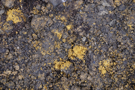 Dirt and soil. Brownish dirt with yellow spot.の写真素材