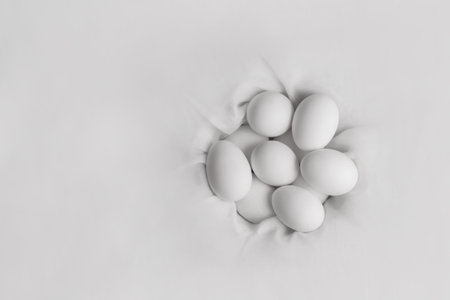 bunch of white eggs in cloth nest