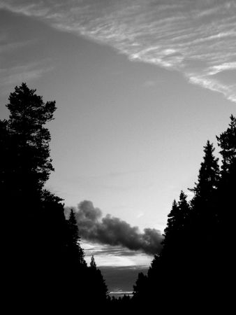 trees and cloudsの写真素材