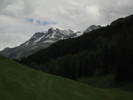 Swiss Alpsの写真素材
