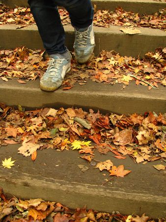 fallの写真素材