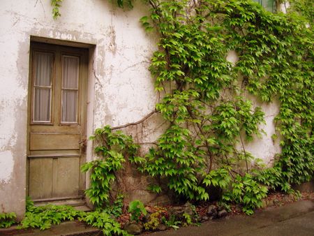 Door and flowers in the City of Olten in Switzerlandの写真素材