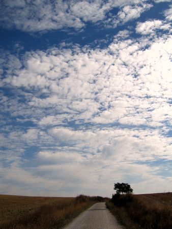 camino de santiagoの写真素材
