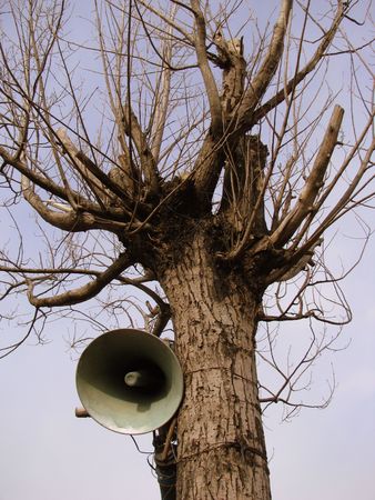 microphone hanging on the treeの写真素材