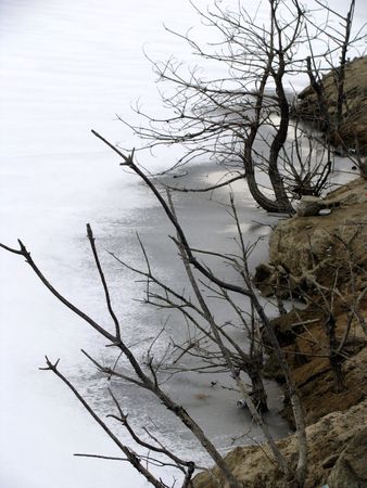 rock and thin branches on a frozen lakeの写真素材
