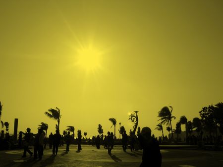 sun and palm trees on the beach in kaohsiungの写真素材