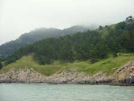 greens on a deserted islandの写真素材