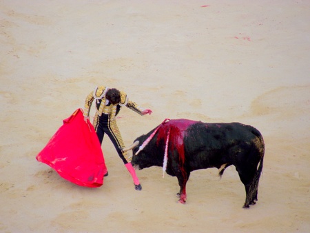 bullfight in nimes in franceの写真素材