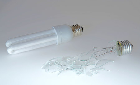 Energy saving light bulb and a smashed common light bulb