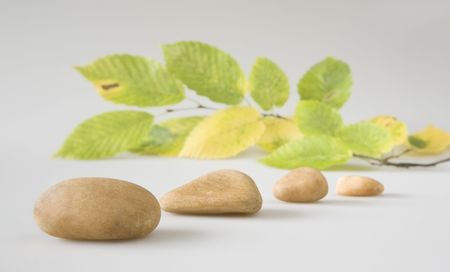set of red  pebbles with autumn leaves, still life, against grey backgroundの写真素材