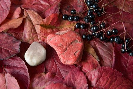 red pebble on red leaves with elderberries, autumn still life, close up studio shotの写真素材