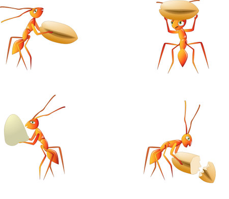 Illustration of a set of ants with eggs on a white backgroundの写真素材