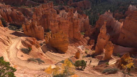 Bryce Canyon National Park at Navajo Loop Trail, Utah, USA