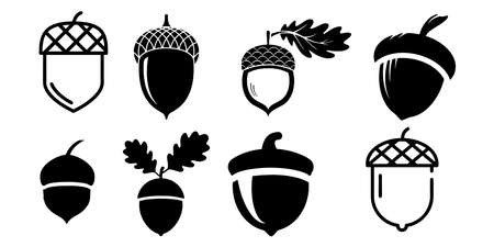 acorn vector icons isolated on white backgroundのイラスト素材