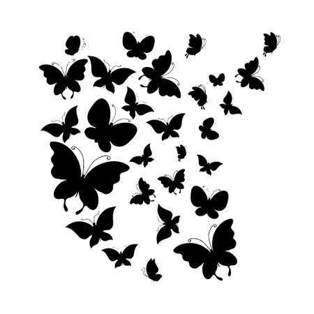 Set of butterflies isolated on white vector illustrationのイラスト素材