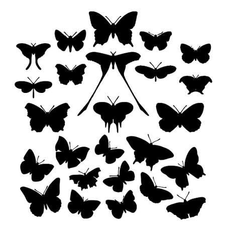 Set of butterflies isolated on white vector illustrationのイラスト素材