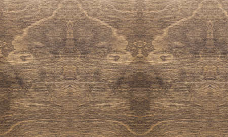 Wood texture background surface old natural pattern texture backgroundの写真素材