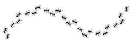 ant crawling set isolated on white background Vector illustrationのイラスト素材