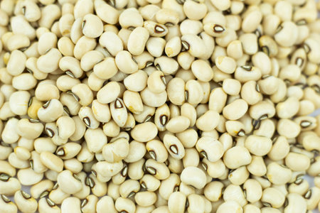 Black eyed peas beans dish top view close up isolated on a white background