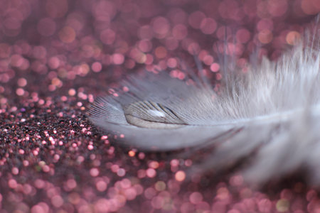 wings bird Soft pastel detail of design background wallpaper Abstractの写真素材